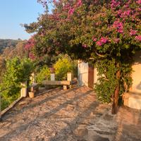 Vigneto con casa e deposito accatastati
