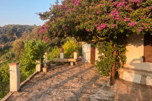 Vigneto con casa e deposito accatastati