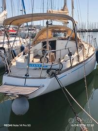 barca a vela koala 39