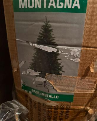 Albero di natale