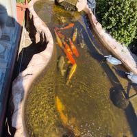 LAGHETTO CON CASCATA