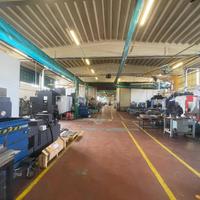 Ampio capannone con uffici e servizi