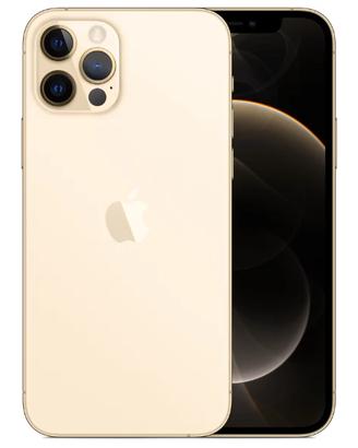 IiPhone 12 pro max 256 gb colore oro