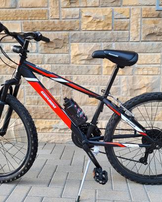 mountain bike shimano Ghiaroni Stark 24