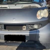 plastiche smart 450