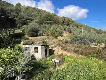Terreno di 7146 m² a Camporosso