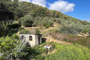 Terreno di 7146 m² a Camporosso