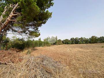 TER. AGRICOLO A ALGHERO