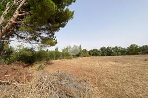 TER. AGRICOLO A ALGHERO