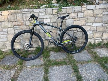 Bici Rose Count Solo 3