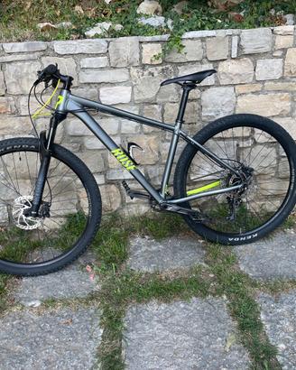 Bici Rose Count Solo 3