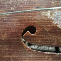antonius stradivarius violino con custodia