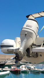 Ricambi Fuoribordo Suzuki 225 250 300 cv 4T GamboX