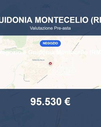 Immobile in asta di 147 m² a Guidonia Montecelio