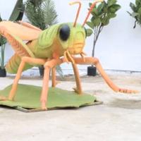 Grillo statuario statua alta qualita