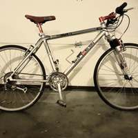 Bicicletta ibrida special edition Sintesi