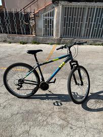 Bicicletta aurelia