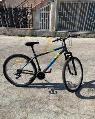 Bicicletta aurelia