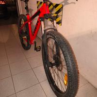 bicicletta da trekking 