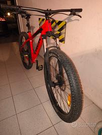 bicicletta da trekking 