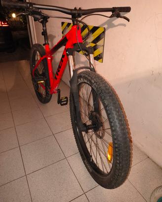 bicicletta da trekking 
