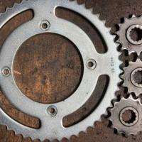 AM6- pignone trasmissione