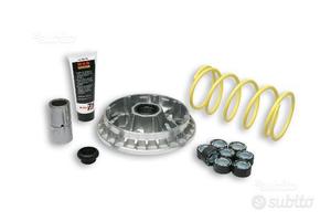 Variatore Malossi Suzuki burgman 400 98-06
