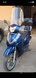 SH 300
