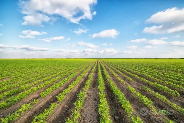 Terreno Agricolo - Venezia