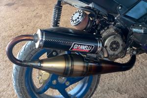 giannelli shot v4 piaggio
