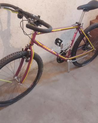 bicicletta  montain bike ruote da 26