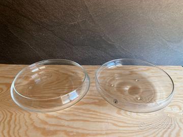 Coppia ciotole basse in vetro per centrotavola