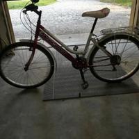bicicletta ragazza 