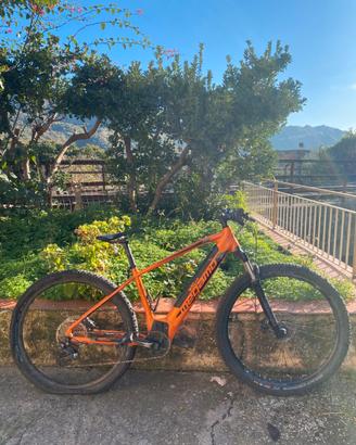 E-Mtb a pedalata assistita Megamo ridon ht 504