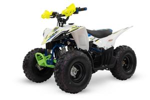 Quad condor 110