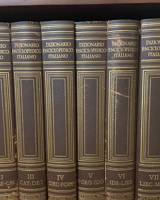 Dizionario Enciclopedico Treccani Parte 1