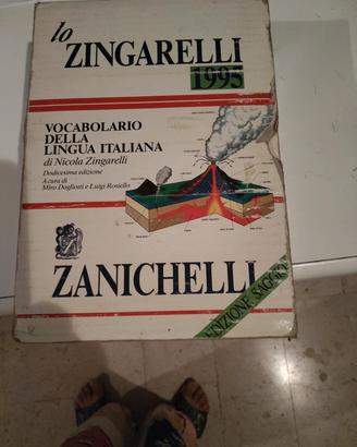 vocabolario italiano Zanichelli 