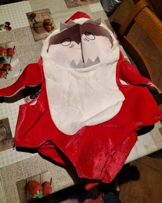 Costumi per carnevale squaletti e altro