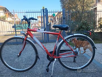 carnielli citybike 