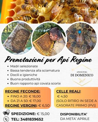 Api regine