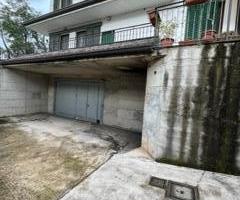 CC 3319/2024 Trib Pavia