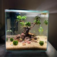 Acquario Newa more 30