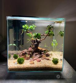 Acquario Newa more 30