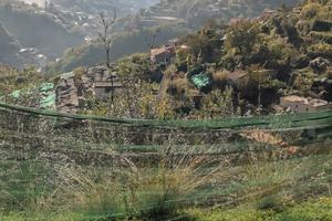 terreno agricolo uliveto 