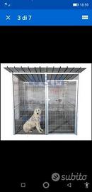 Box per cani A245