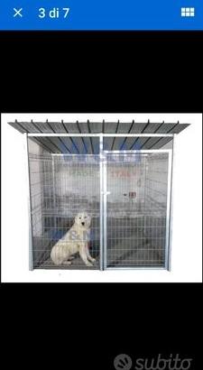 Box per cani A245