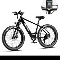 Bici elettriche professionale