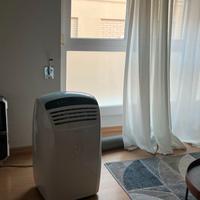 Climatizzatore e Deumidificatore Wifi Olimpia