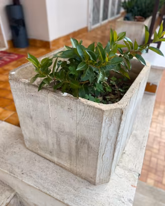 Vasi da giardino