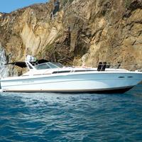SeaRay 390 express Refitt completo